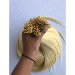Blonde I Tip
